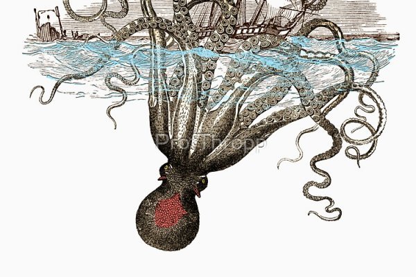Kraken tor marketplace