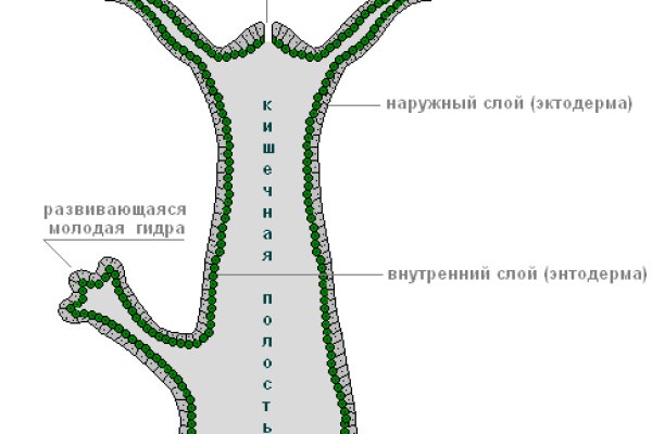 Можно ли вывести деньги с кракена